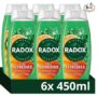 Radox Feel Refreshed Eucalyptus & Citrus Scent Shower Gel 6 x 225 ml Bulk Pack